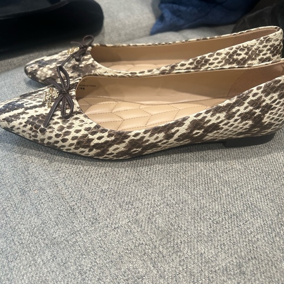 Coach beautiful pointy flat - Picture 3 of 6